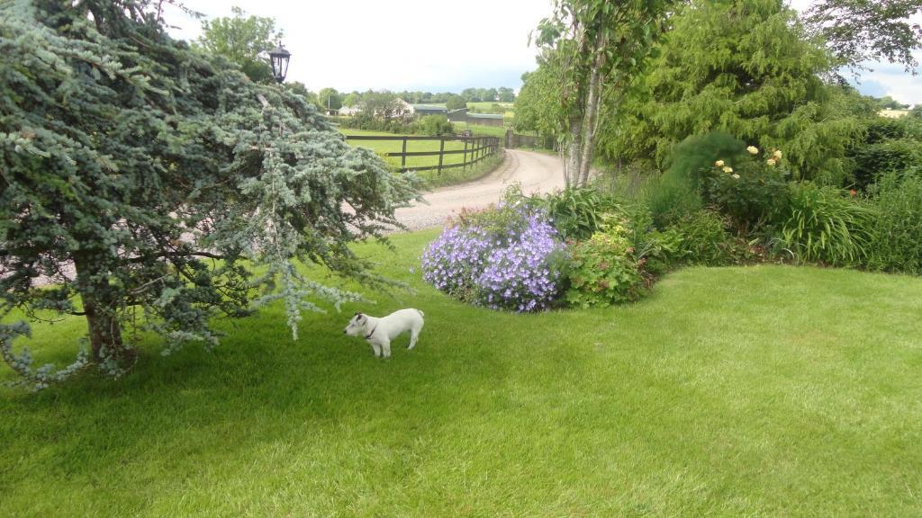 Westwood Country House Blarney Ngoại thất bức ảnh