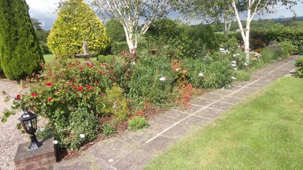 Westwood Country House Blarney Ngoại thất bức ảnh