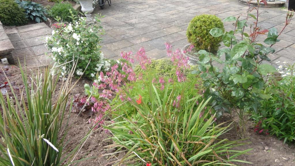 Westwood Country House Blarney Ngoại thất bức ảnh