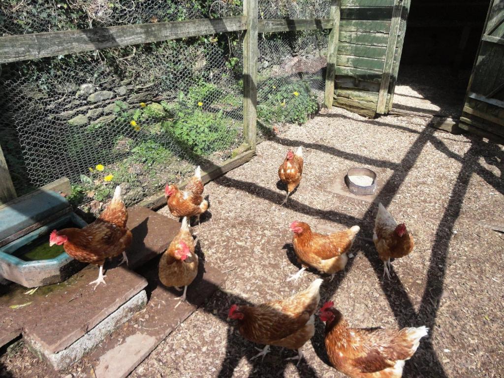 Westwood Country House Blarney Ngoại thất bức ảnh